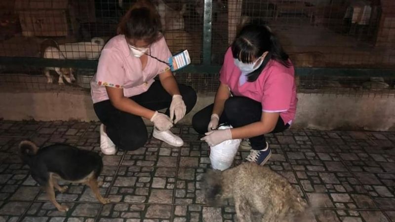 Trabajo solidario en cuarentena