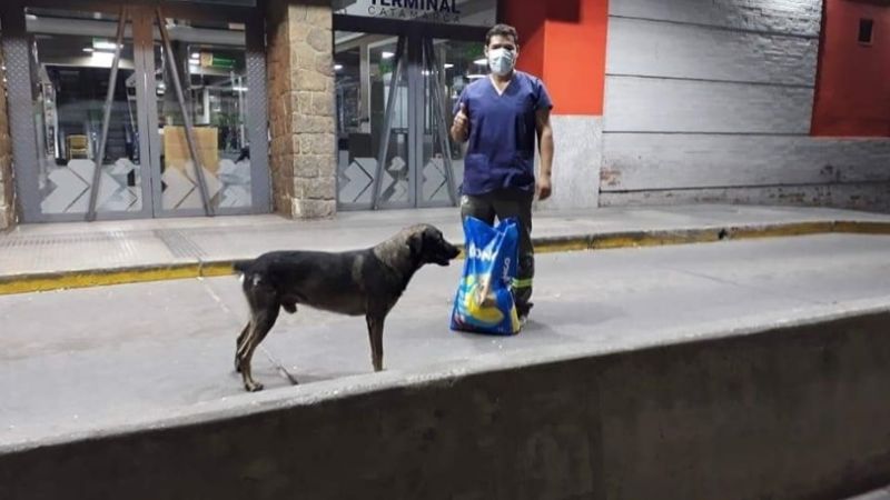 Trabajo solidario en cuarentena