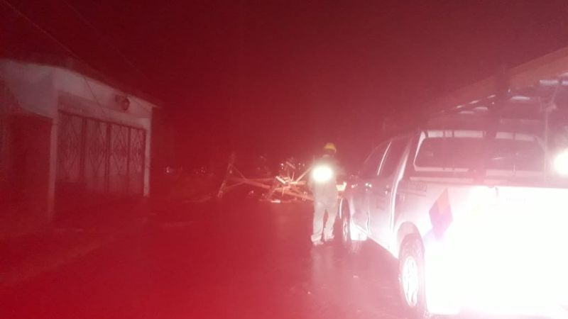 Tormenta causó importantes daños en las líneas eléctricas
