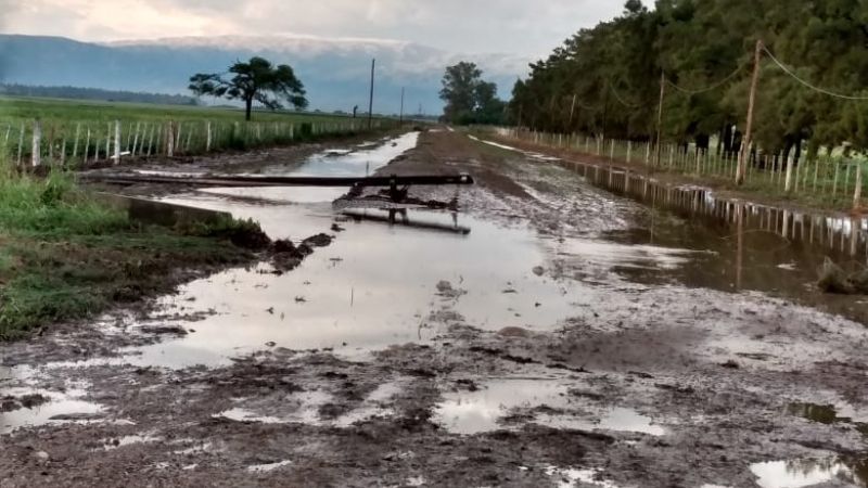 Tormenta causó importantes daños en las líneas eléctricas