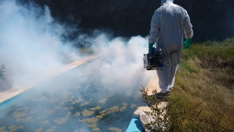 Intensifican todos los operativos de limpieza y fumigación en la ciudad