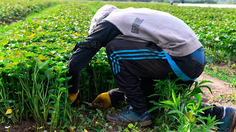 Cumpliendo con las normas de seguridad, rurales puede realizar su trabajo