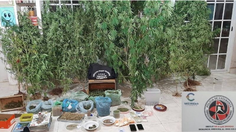 Desbaratan una “fábrica” de marihuana en un operativo antidrogas en Belén