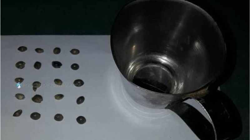 Desbaratan una “fábrica” de marihuana en un operativo antidrogas en Belén