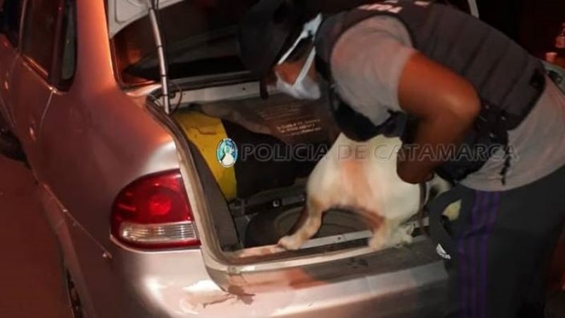 Lo detuvieron por manejar en forma peligrosa, y le encontraron marihuana