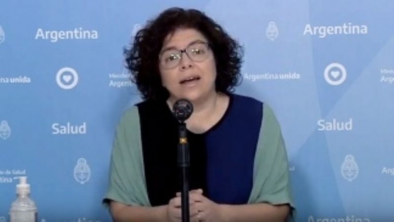 Vizzotti indicó que hasta ahora no hay desborde en el sistema de salud