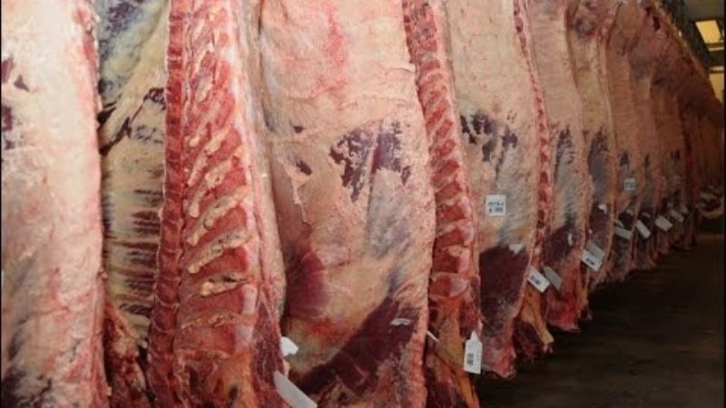 El Gobierno controlará el precio de la carne en frigoríficos