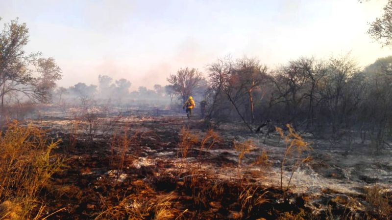 Incendio en Recreo consumió más de 300 hectáreas