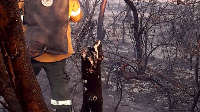 Incendio en Recreo consumió más de 300 hectáreas