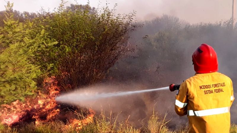 Incendio en Recreo consumió más de 300 hectáreas
