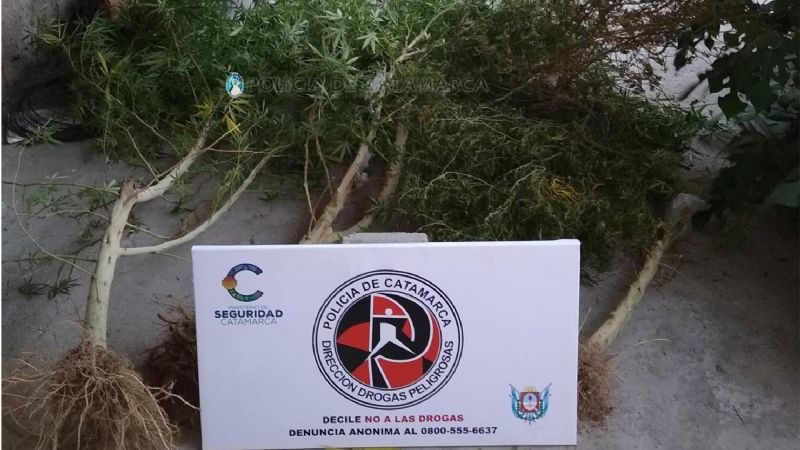 Desbaratan un kiosco de drogas: un detenido