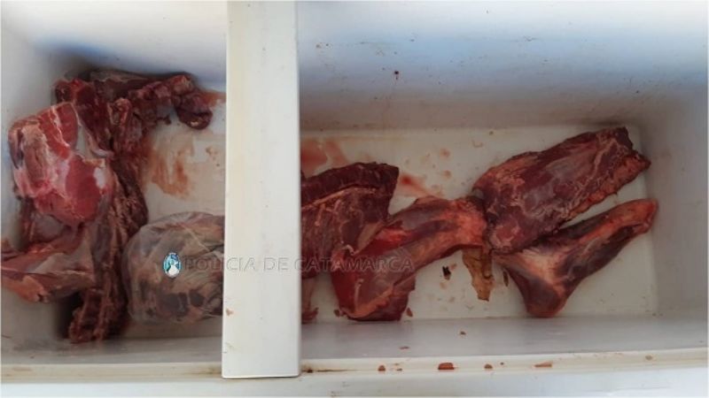 Detenidos por abigeato en Pomán