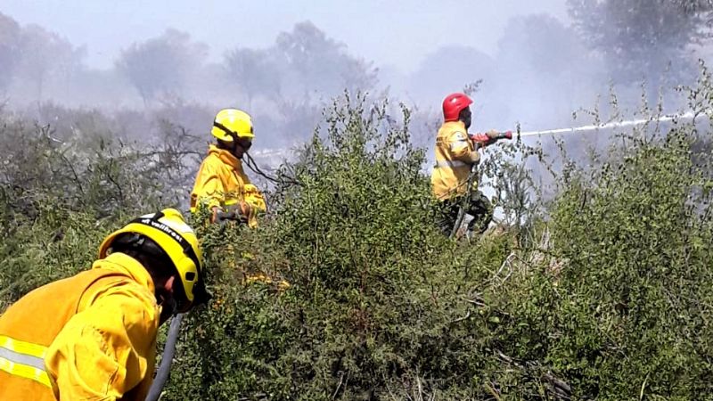 Está casi controlado el incendio de Recreo