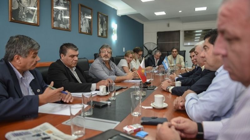 Palladino en el Senado