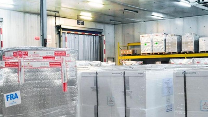 Tucumán inicia exportaciones de lechuga refrigerada