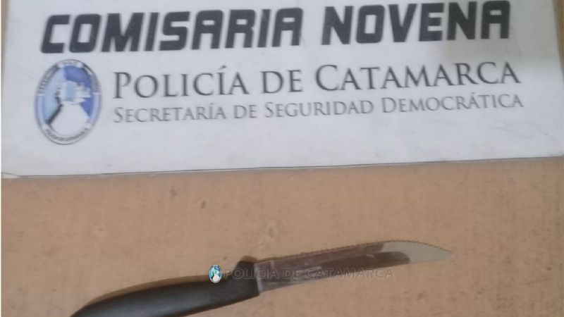 Quiso acuchillar a su pareja, su suegra, un vecino y a policías