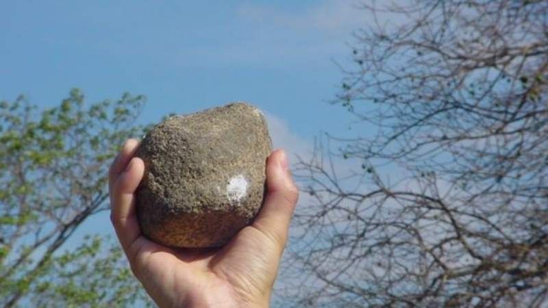 Demoran a un adolescente por arrojar piedras contra una escuela