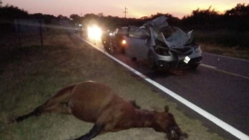 No pudo esquivar un caballo en la ruta 64