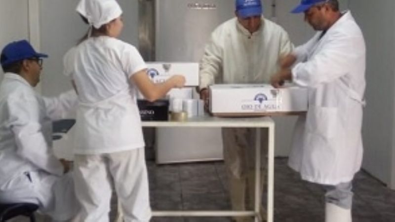 Santiago del estero exporta carne caprina a Bahamas