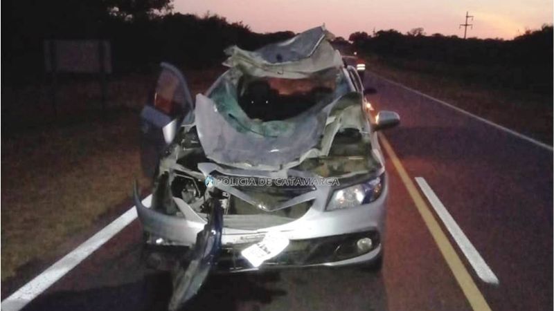 No pudo esquivar un caballo en la ruta 64