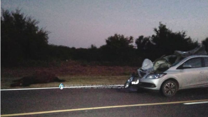 No pudo esquivar un caballo en la ruta 64