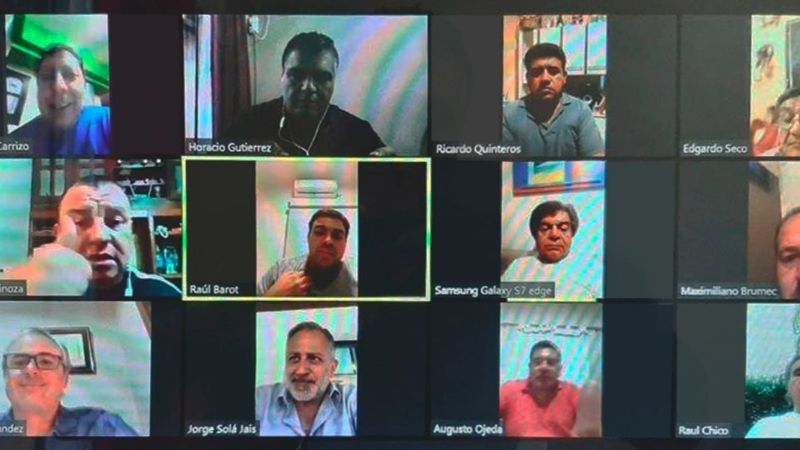 Senadores del oficialismo reanudaron su trabajo por videoconferencia