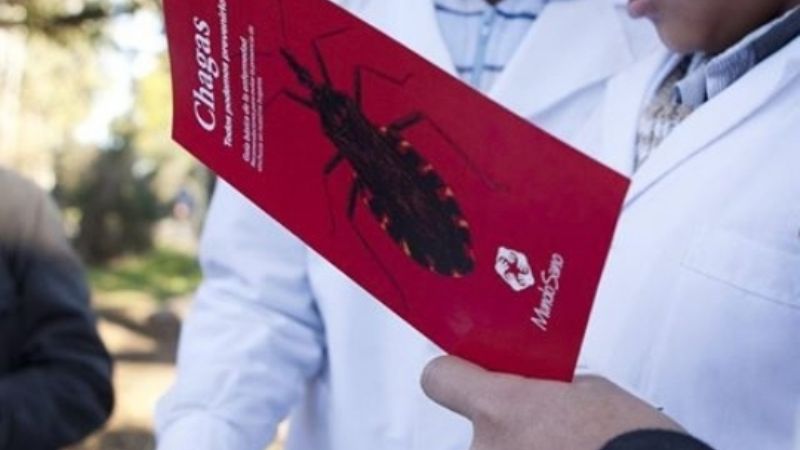 14 de abril: Día Mundial de la Enfermedad de Chagas