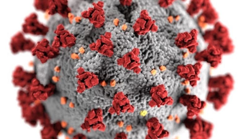 Información oficial actualizada COVID-19