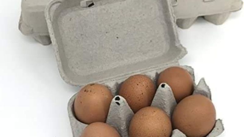 Entregan huevos a beneficiarios de la Tarjeta Alimentaria