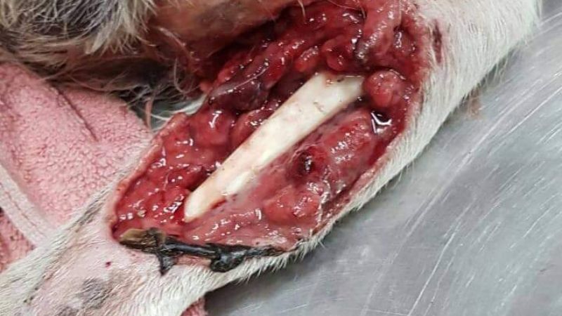 Hoy por el, mañana por nosotros