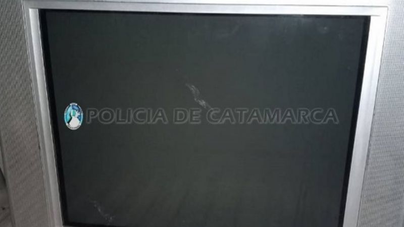 Cayó un ladrón que robó en varios domicilios