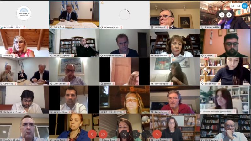 Intenso trabajo a distancia de Corpacci y Ginocchio en Diputados