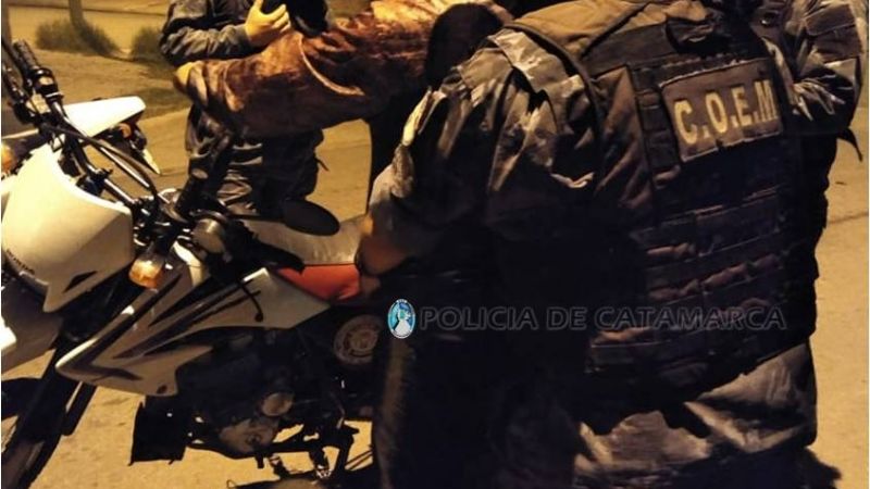 Noctámbulos sin permiso detenidos y a disposición de la Justicia