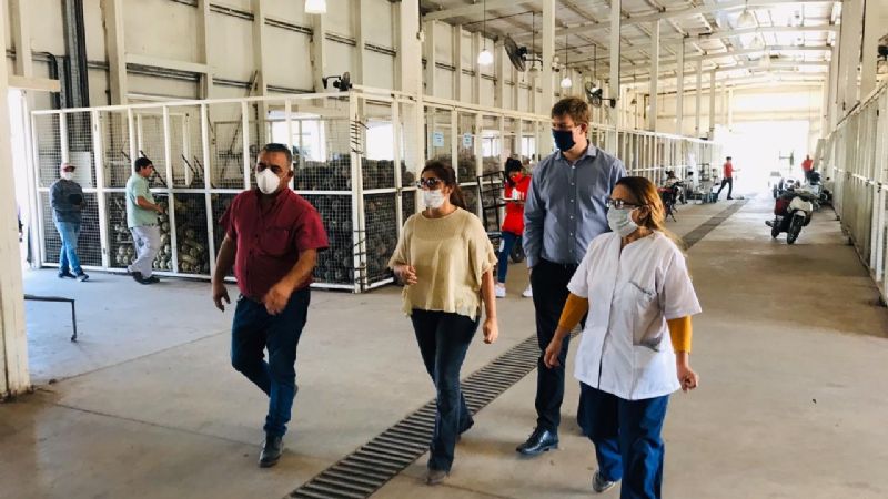 Personal de Salud de la Capital ya tiene mascarillas protectoras