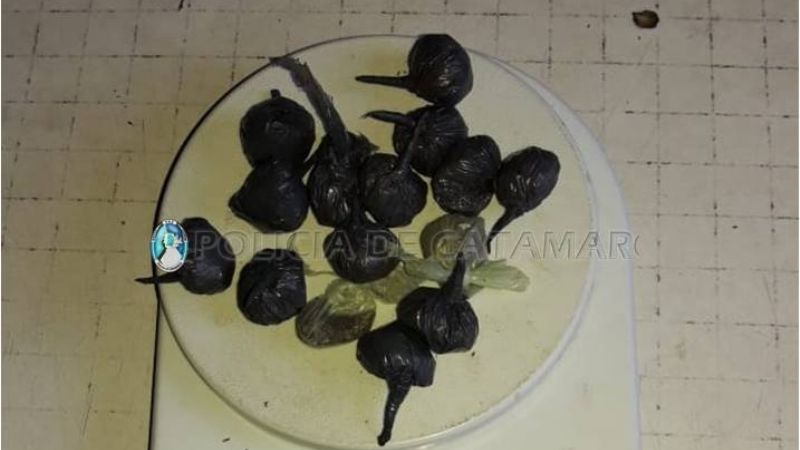 En allanamiento, secuestran un celular robado y encuentran 23 gr. de marihuana