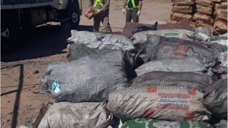 Secuestran más de 2 mil bolsas de carbón y 120 de leña