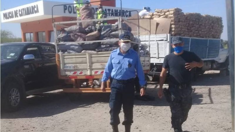 Secuestran más de 2 mil bolsas de carbón y 120 de leña