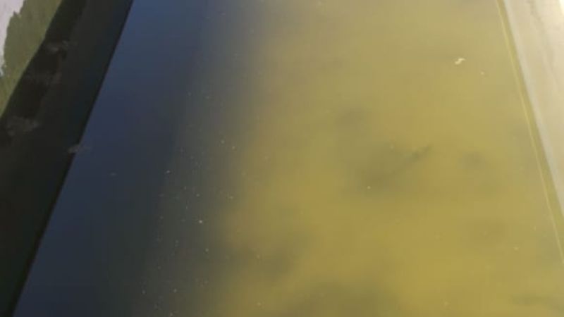 Insisten en continuar con las medidas de prevención contra el dengue