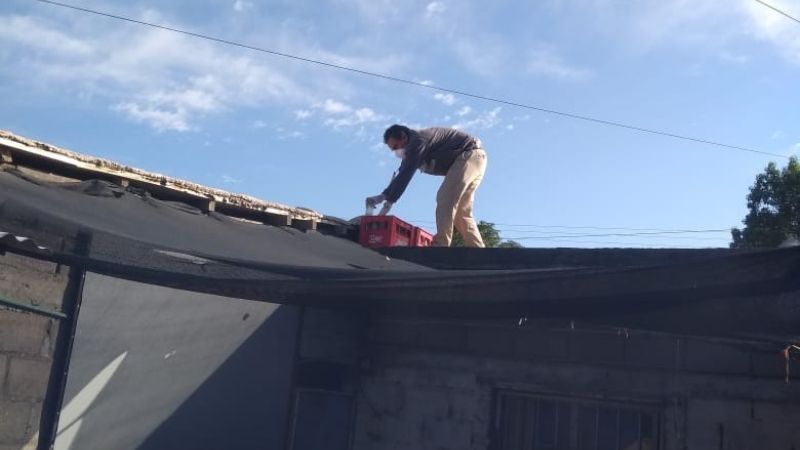 Insisten en continuar con las medidas de prevención contra el dengue