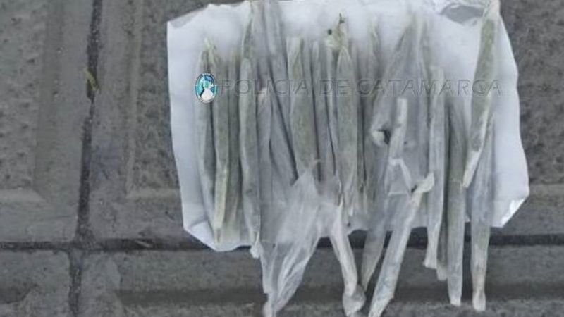 Incautan semillas de marihuana y 14 porros