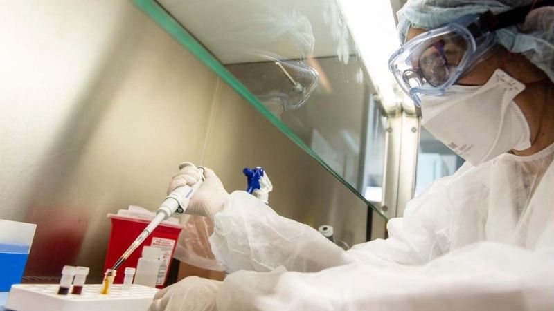 Primera foto del coronavirus que circula en Argentina