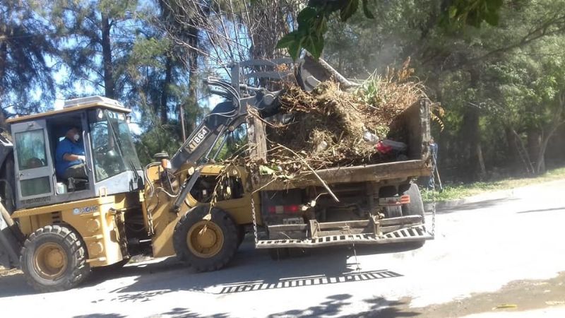 Casi todos los empleados regresaron a trabajar, pero ¿tienen ART?