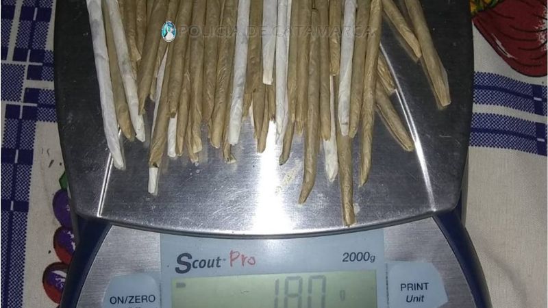 Secuestran 53 porros, 54 semillas, 12 envoltorios y dos plantines de marihuana