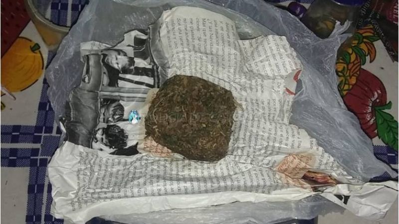 Secuestran 53 porros, 54 semillas, 12 envoltorios y dos plantines de marihuana