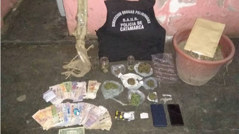 Secuestran 53 porros, 54 semillas, 12 envoltorios y dos plantines de marihuana