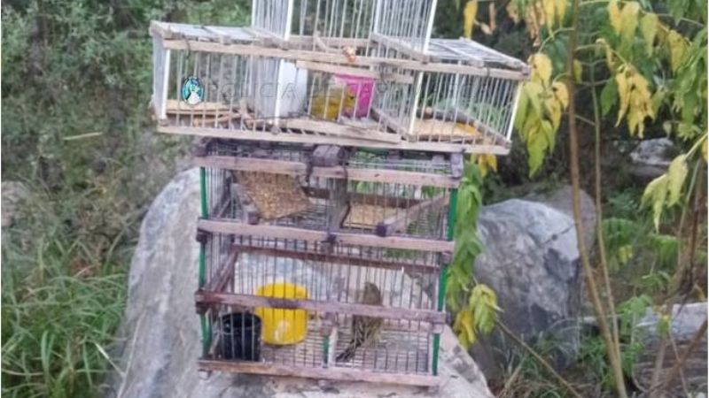 Secuestran dos bicicletas y dos tramperas