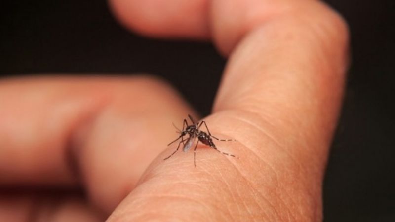 Catamarca se mantiene sin casos de Covid-19