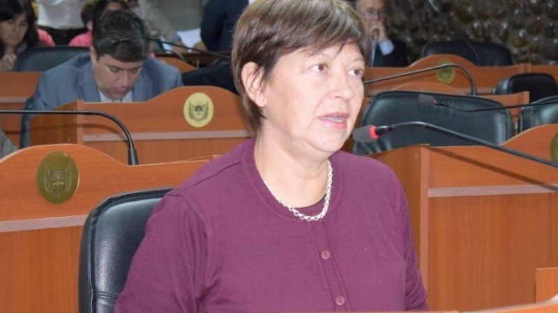 Piden transparentar la situación de los colegios de gestión privada