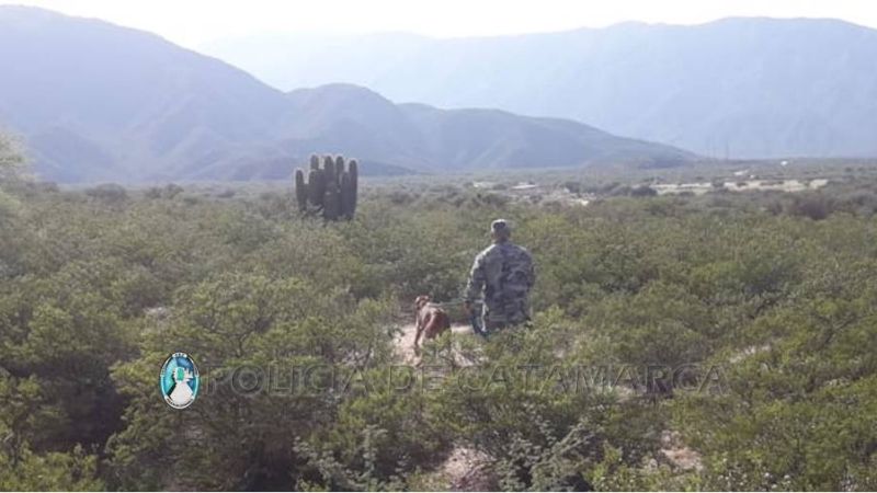 Intensa búqueda de un hombre en Andalgalá