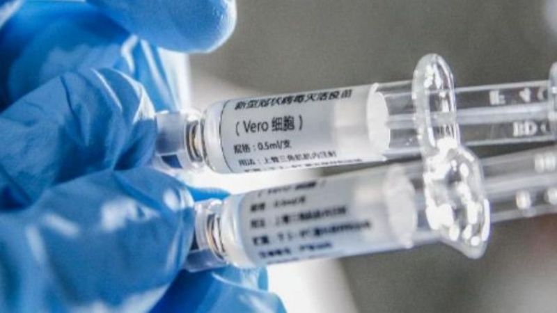 Una vacuna contra el coronavirus funcionó de manera exitosa en monos